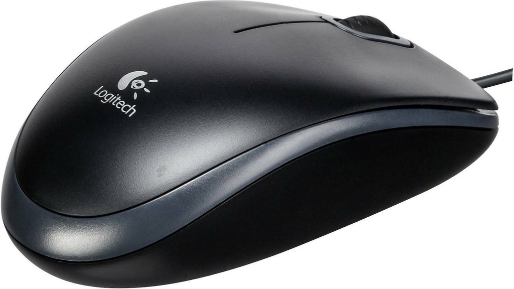 Logitech USB Black B100 Optical Mouse