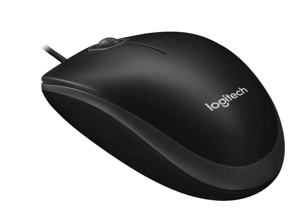 Logitech USB Black B100 Optical Mouse